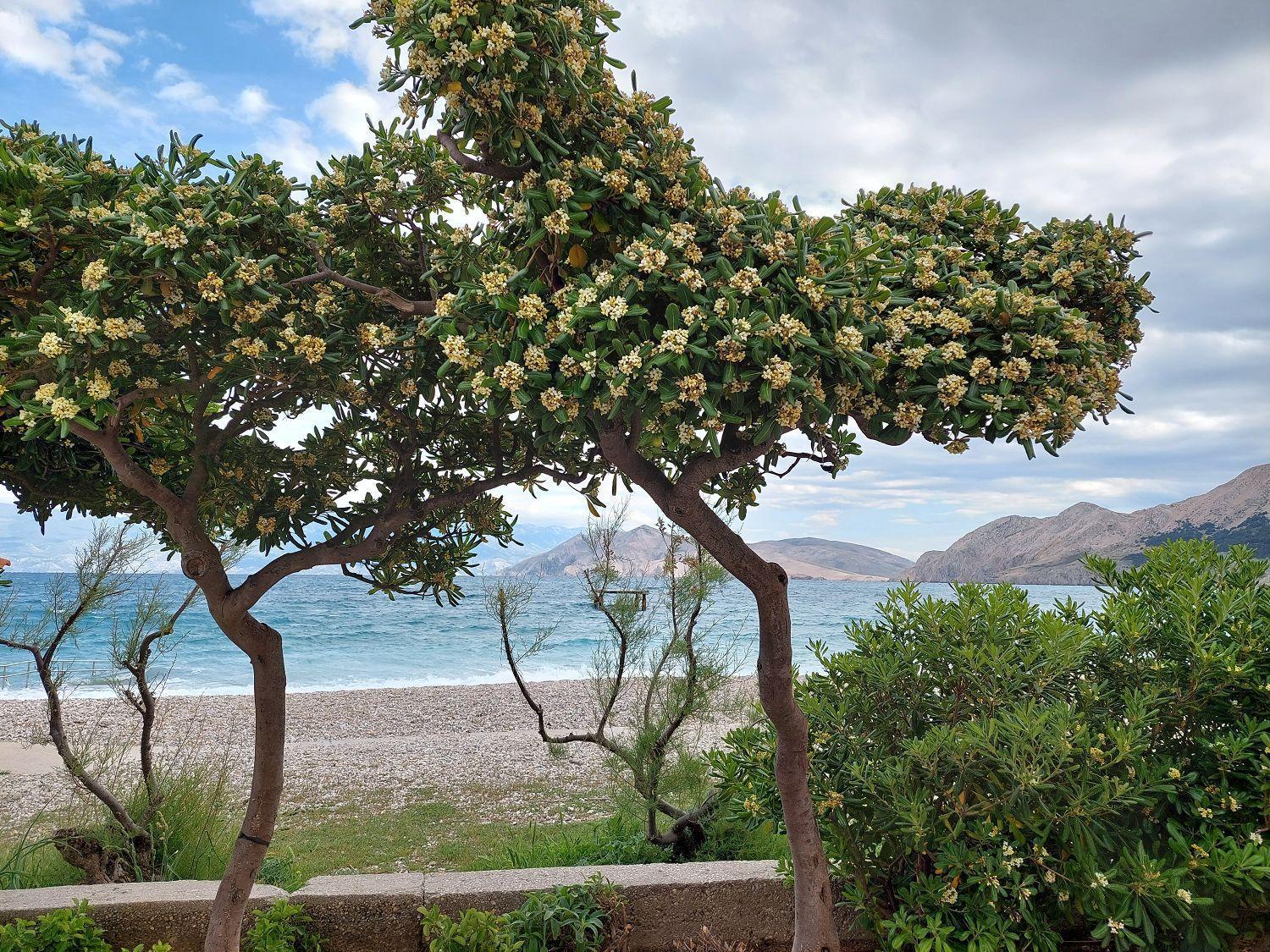 Erste Reihe Zum Meer Baška Buitenkant foto